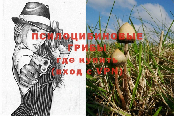 крисы Армянск