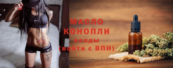 крисы Армянск