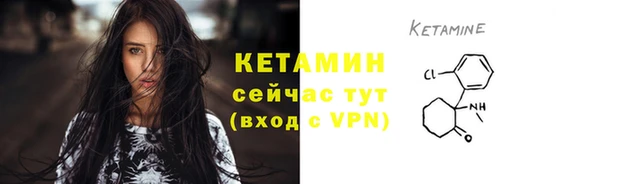 крисы Армянск