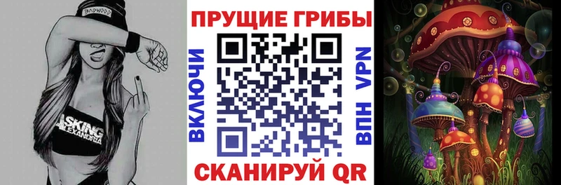 MEGA ТОР  дарнет шоп  Устюжна  Псилоцибиновые грибы Psilocybe 